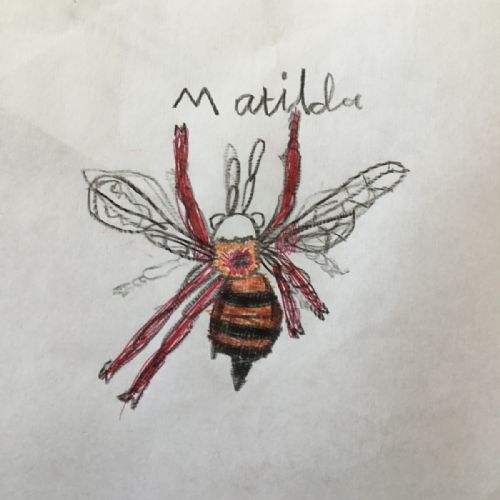 Matilda B 1